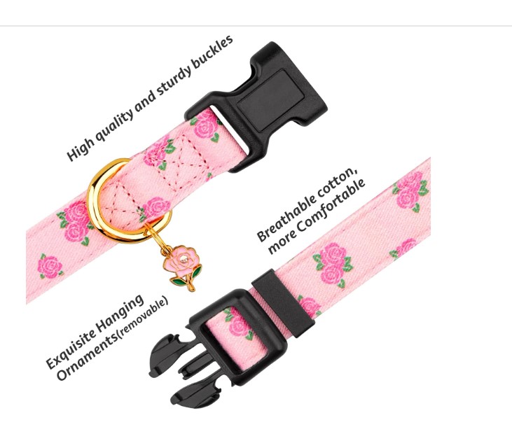 Top 5 Cotton Dog Collars for Style & Comfort | Liibe.com