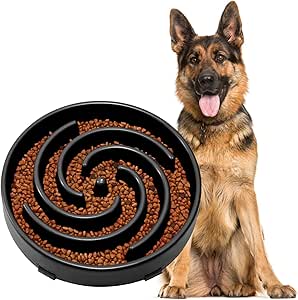 JASGOOD Slow Feeder Bowl for Large Dogs, Anti-Gulping Pet Food Dish, Prevents Choking & Bloat