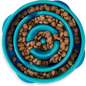 Outward Hound Slow Feeder Bowl, Puzzle Maze for Fast Eaters, Small-Medium Dogs, Prevents Bloat, 2-Cup Capacity, Non-Slip, BPA-Free