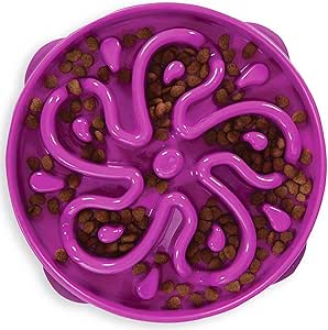 Outward Hound Slow Feeder Bowl, Puzzle Maze for Fast Eaters, Large Dogs, Prevents Bloat, Holds 4 Cups, Non-Slip, Purple