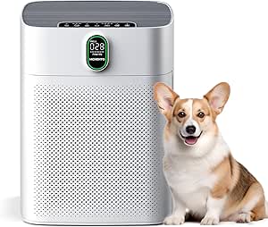 MORENTO Air Purifier for Allergy Relief with HEPA Filter - Removes Dust, Pollen, Pet Hair - CADR 300m³/h - Ideal for Smoker Rooms - PM2.5 Indicator - Quiet 24dB - 1 Pack, 2 Filters
