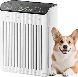 Bedroom Air Purifier Large Room Up to 2200 Ft², Washable Filters, PM 2.5 Display, Smoke Dust Odor Sensor