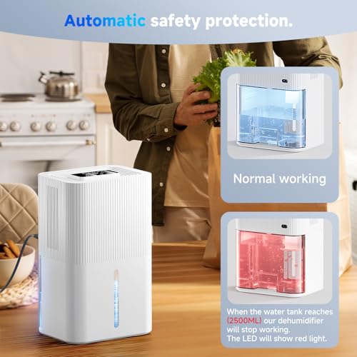 Energy Saving 2700ML Dehumidifier for Home with Quiet Operation, Auto Shut-off, LED Lights, Timer - Ideal for Bedroom, Wardrobe, Car, Bathroom - Drying Clothes