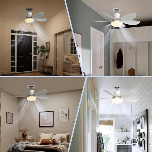 DGE E27 Socket Fan Light Combo, Silent Remote Fans with Dimmable LED, Wireless for Garage Kitchen Bedroom - Energy Class A
