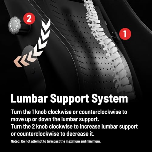 boulies Master Gaming Chair: Ergonomic Office Chair for Adults, 4D Armrests, Lumbar Support, Head Pillow