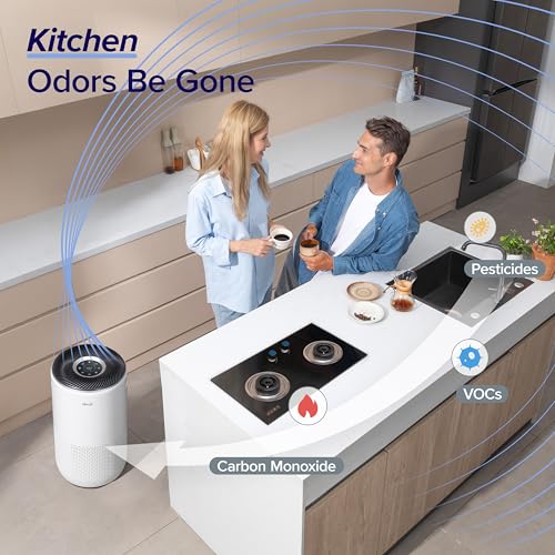 LEVOIT Air Purifier: Large Bedroom, Alexa Enabled, PM2.5 Sensor