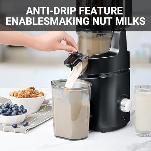 AMZCHEF Cold Press Juicer 250W - Liberate Your Hands! Slow Juicer 2L Capacity for Whole Fruit & Vegetable - Triple Filter, Safety Lock - Classic Black