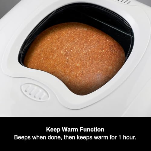 Morphy Richards Fastbake Breadmaker: 12 Programs, 1.5lb & 2lb Loaf Sizes, Delay Timer