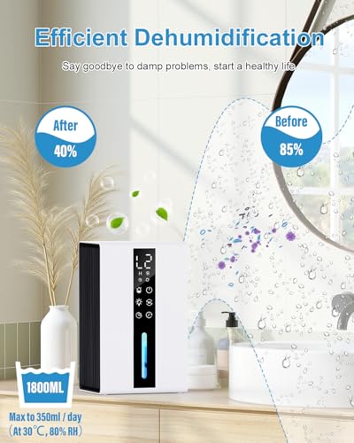 Brand Dehumidifier, 2 Speeds + 2 Modes, Auto-Defrost, Timer