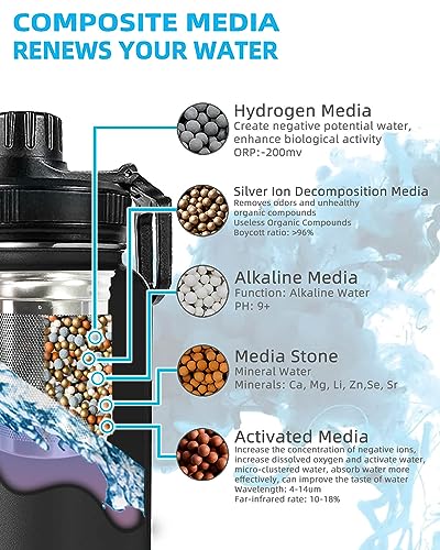 Stainless Steel Alkaline Water Bottle - Portable Sports Filter, pH 9+, 800ml - Ideal for Travel, Home, Health - Black