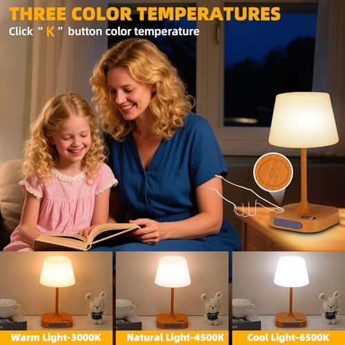 Portable Rechargeable Bedside Lamp, Dimmable LED Night Light with USB Charging - Ideal for Bedroom, Bathroom, Camping