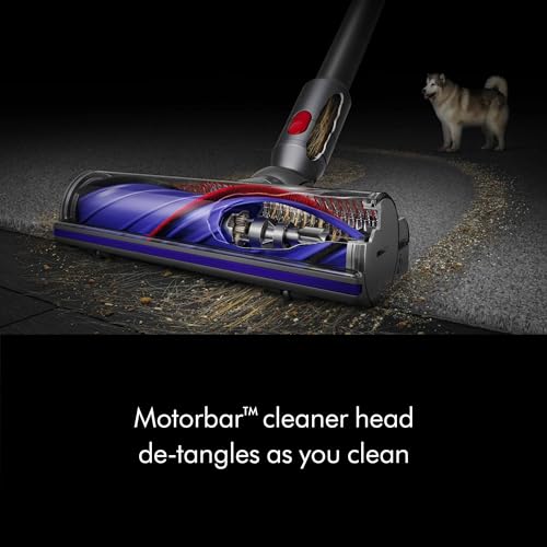 Dyson V8 Plus Cordless Vacuum: Cleans Hard Floors, Carpets, Detangles - Handheld, 115AW Power, 2 Modes, 40 Min Runtime