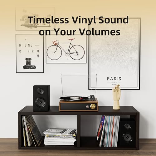 FYDEE Record Player: Bluetooth, Stereo Speakers, 3 LP Sizes