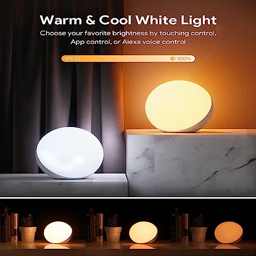 Dimmable Smart Desk Lamp, RGB Color Changing Touch Lamp, Bedroom Night Light, App/Voice Control, Alexa/Google Home Compatible