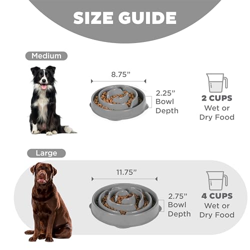 Outward Hound Slow Feeder Bowl, Puzzle Maze for Dogs, Prevents Bloat, 4-Cup Capacity, Non-Slip, BPA-Free, Gray