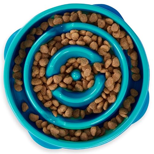 Outward Hound Slow Feeder Bowl, Puzzle Maze for Fast Eaters, Small-Medium Dogs, Prevents Bloat, 2-Cup Capacity, Non-Slip, BPA-Free