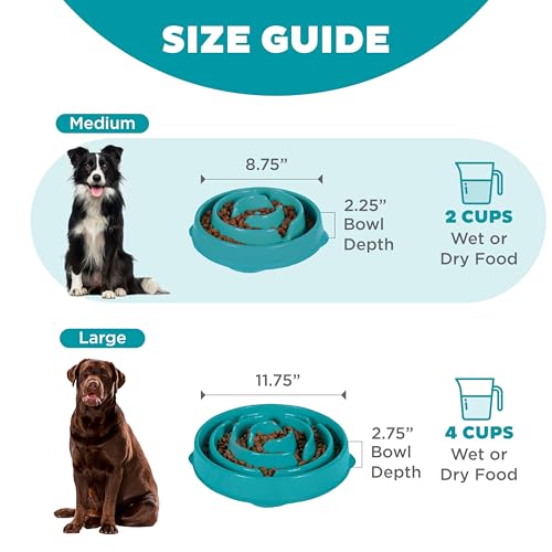 Outward Hound Slow Feeder Bowl, Puzzle Maze for Fast Eaters, Small-Medium Dogs, Prevents Bloat, 2-Cup Capacity, Non-Slip, BPA-Free