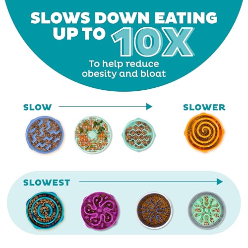 Outward Hound Slow Feeder Bowl, Puzzle Maze for Fast Eaters, Small-Medium Dogs, Prevents Bloat, 2-Cup Capacity, Non-Slip, BPA-Free