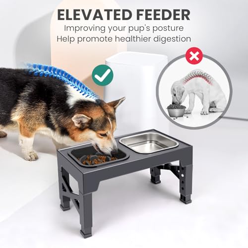 Niubya Raised Dog Bowls with Slow Feeder, Adjustable Heights for Small, Medium, and Large Dogs