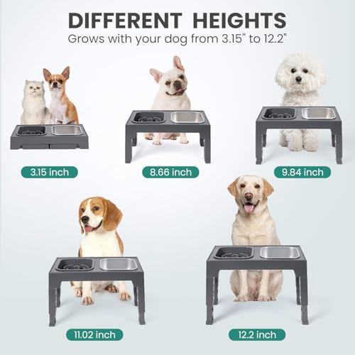 Niubya Raised Dog Bowls with Slow Feeder, Adjustable Heights for Small, Medium, and Large Dogs