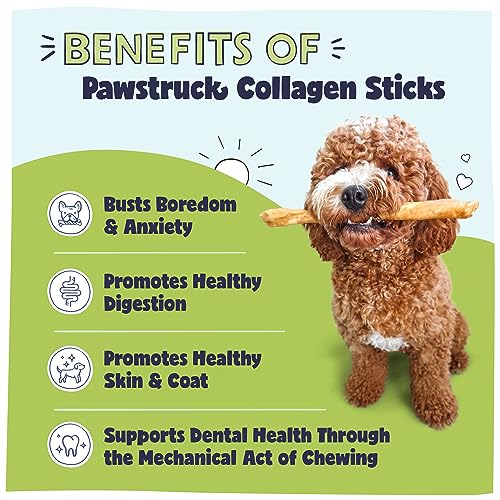 Pawstruck Beef Collagen Sticks for Dogs - High Protein Chews with Chondroitin & Glucosamine - Rawhide Alternative - 5 Pack