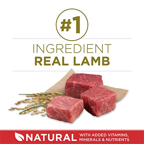 Purina ONE Lamb & Rice Dry Dog Food - Nourishing Formula, 31.1lb