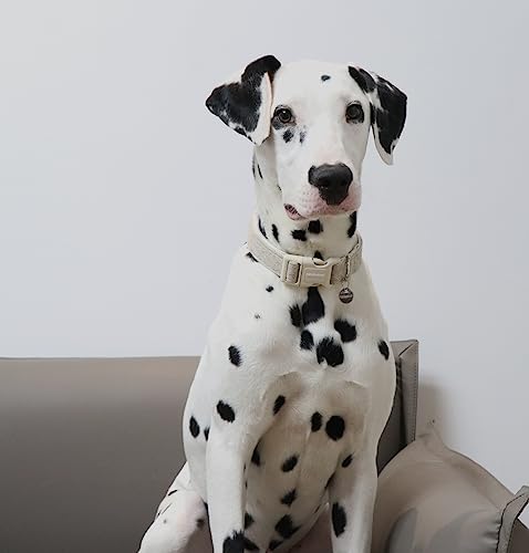 DOGWONG Heavy-Duty Khaki Dog Collar, Adjustable Cotton Hemp, Soft Natural Fabric, Cute Wedding Puppy Necklace for Small Dogs