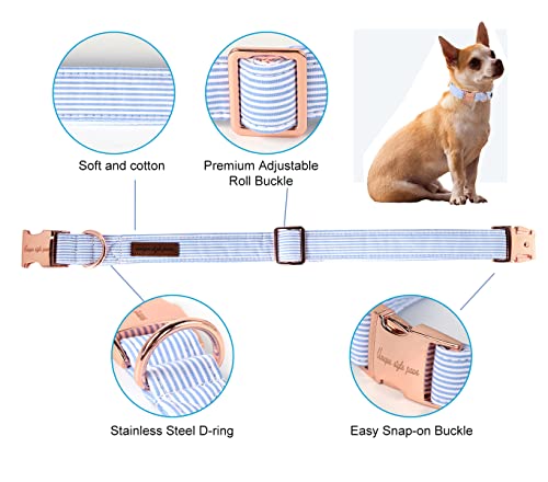 Paws Dog Collar Metal Buckle Blue Stripe Gift for Cute Dogs
