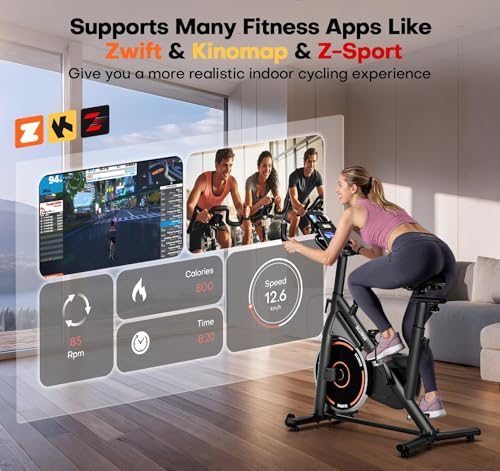 Spin Bike for Home Gym, Quiet Exercise Cycle with Comfortable Seat, Indoor Cardio Equipment