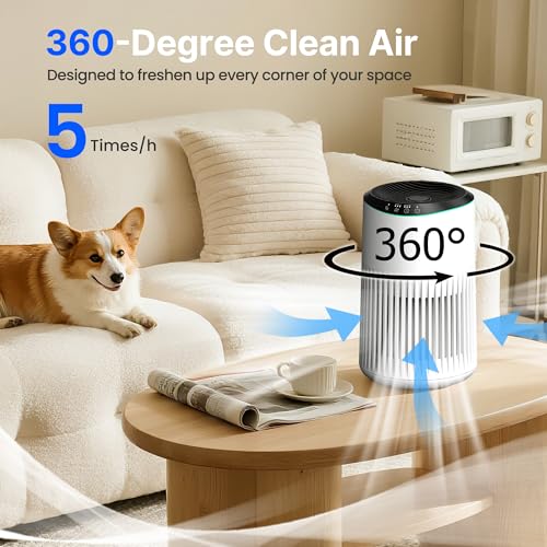 Bedroom Air Purifiers: Sleep Mode, Smoke & Pet Odor Removal, Quiet Operation, Fragrance Sponge, Blue Light, 2-Pack