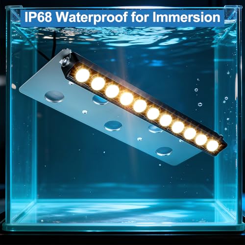 12W LED Hardscape Lighting for Retaining Walls, Steps & Decks - Warm White, Low Voltage, Waterproof - 8 Pack