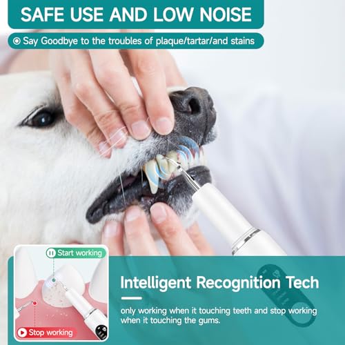 Pet Ultrasonic Tooth Cleaner Teeth Cleaning Kit LED Light 5 Modes