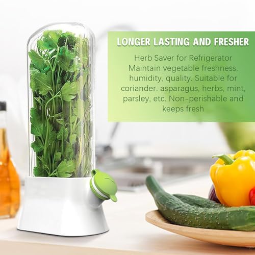 MosQuick Herb Saver Pod for Fridge - Keep Greens Fresh Longer - Mint Basil Coriander Storage - Plastic Container - Big Size 27 x 13 cm