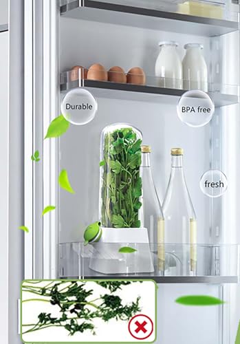 MosQuick Herb Saver Pod for Fridge - Keep Greens Fresh Longer - Mint Basil Coriander Storage - Plastic Container - Big Size 27 x 13 cm