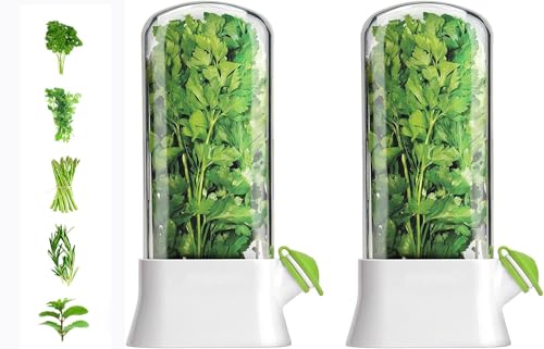 MosQuick Herb Saver Pod for Fridge - Keep Greens Fresh Longer - Mint Basil Coriander Storage - Plastic Container - Big Size 27 x 13 cm