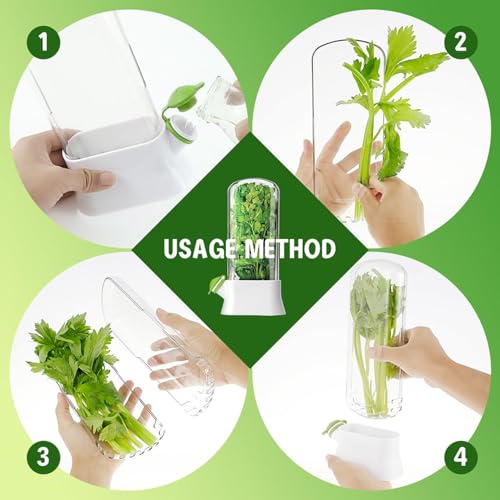 MosQuick Herb Saver Pod for Fridge - Keep Greens Fresh Longer - Mint Basil Coriander Storage - Plastic Container - Big Size 27 x 13 cm